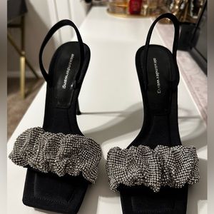 Alexander wang